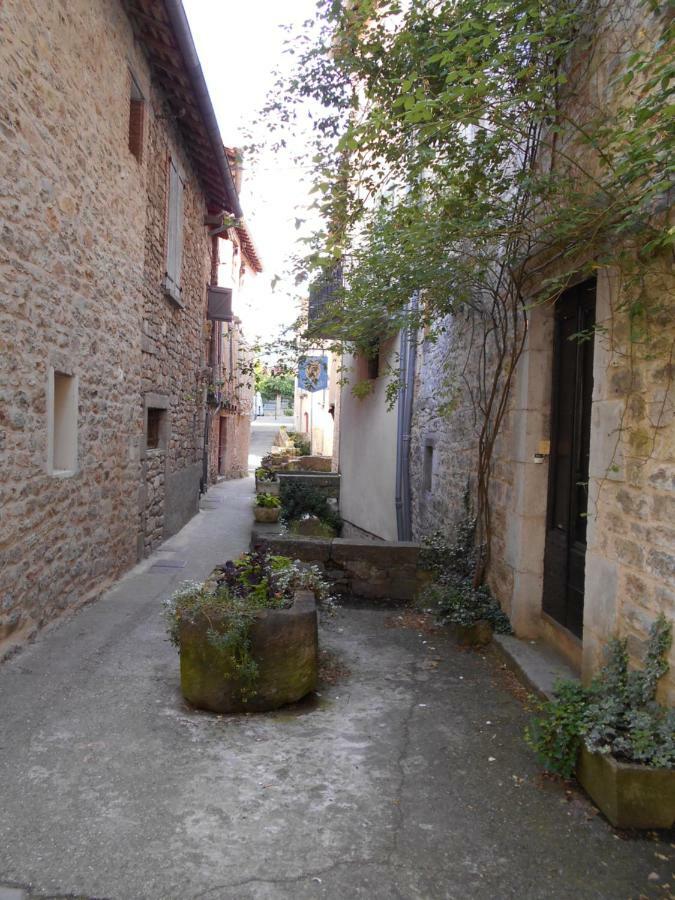 Vila 7 Rue Droite Saint-Antonin Exteriér fotografie